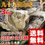 【送料無料※北海道・沖縄除く】九十九島産殻付き≪産直≫真かき（生食可）3kg／開け方ガイド付★初めての方向け！UV殺菌済生食可【安心安全】【お歳暮2023】【カニ・鮮魚・魚介類】