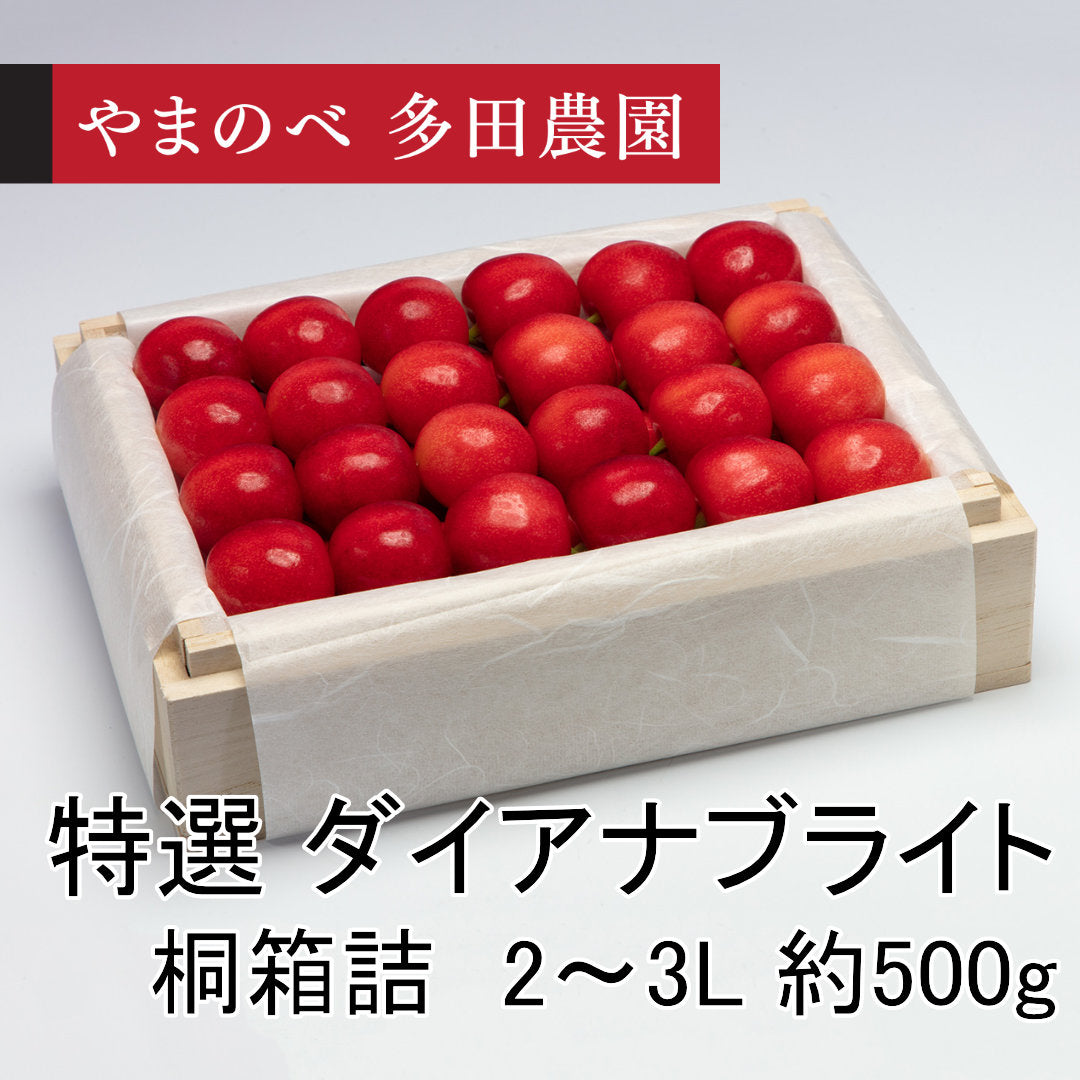 特選　ダイアナブライト（2～3Lサイズ 桐箱詰）約500g　先行予約受付中