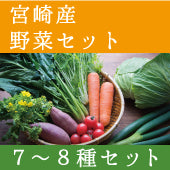 トライアル野菜セット(7～8種)(宮崎産)