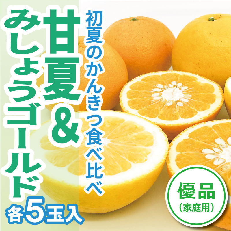 ※今季販売終了※【初夏かんきつ食べ比べセット】甘夏＆みしょうゴールド〈優品・家庭用〉各５玉（計１０玉）【送料無料】