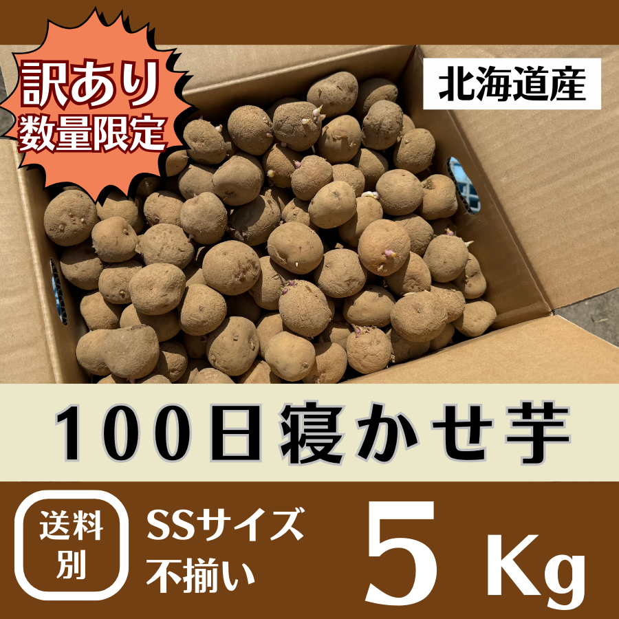 【数量期間限定/訳あり特価】100日寝かせ芋SSサイズ5Kg（はるか・きたあかり・男爵いずれか）※送料別