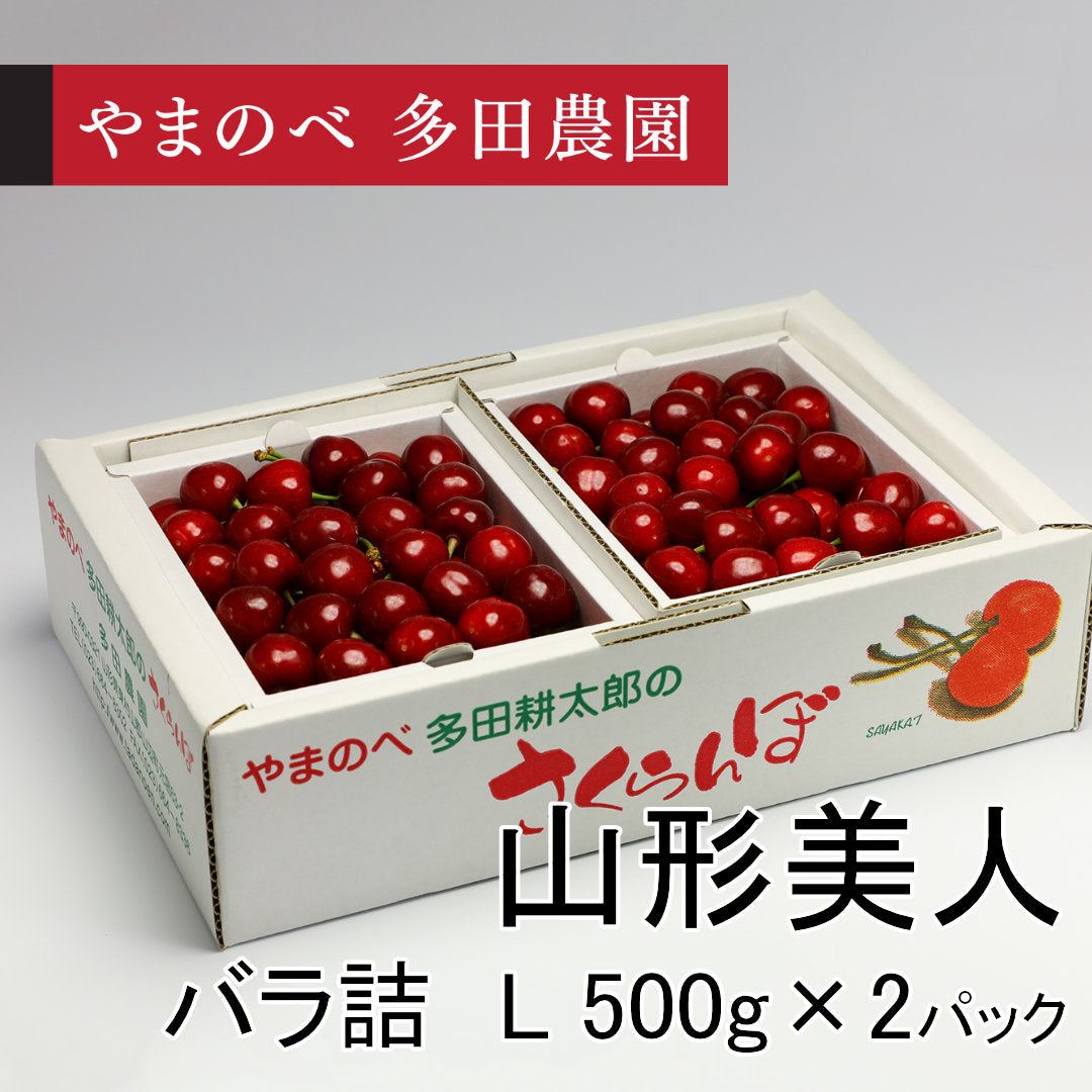 山形美人（Lサイズ バラ詰）500g×2パック　先行予約受付中