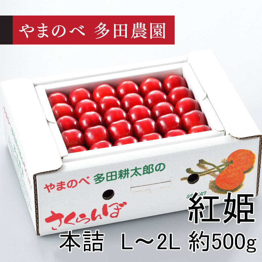 真夏のさくらんぼ「紅姫（べにひめ）」（L～2Lサイズ 本詰）約500g　先行予約受付中【7月20日～8月10日にお届け】