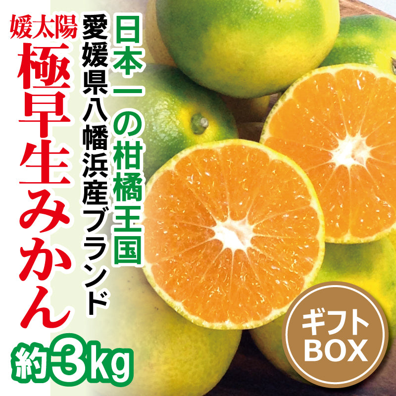 予約販売】農家直送！愛媛県産 極早生みかん〈秀品〉約５kg 10月中旬頃