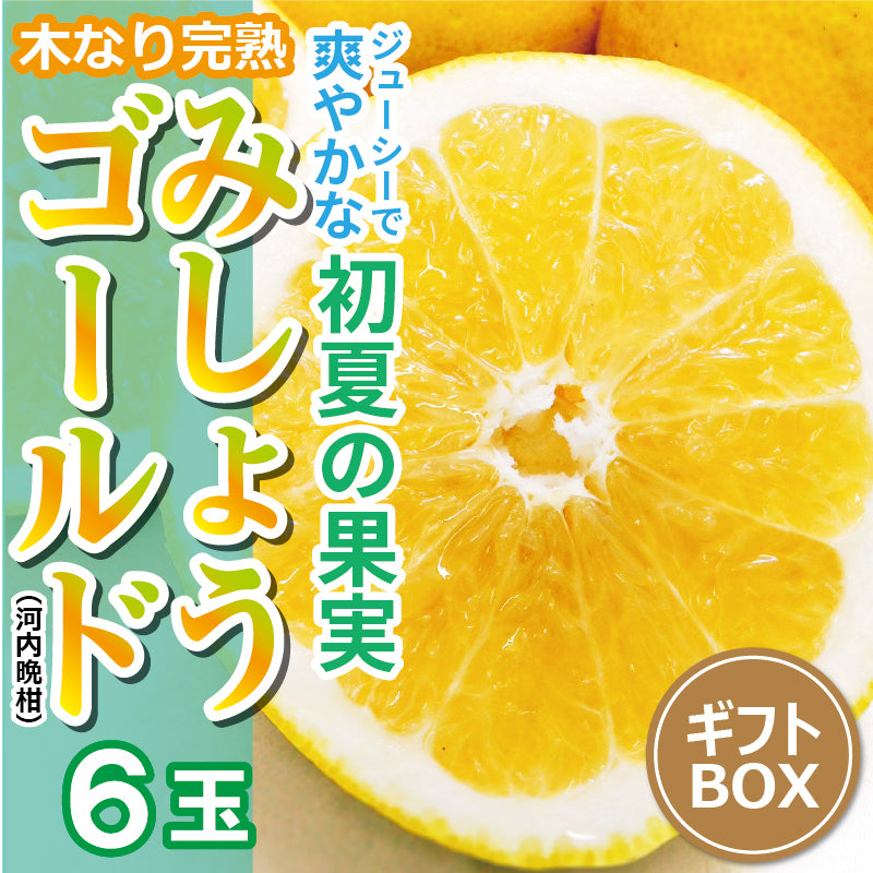 【送料無料】木なり完熟！みしょうゴールド（河内晩柑）〈秀品・ギフトBOX〉６玉　※常温発送　順次発送中