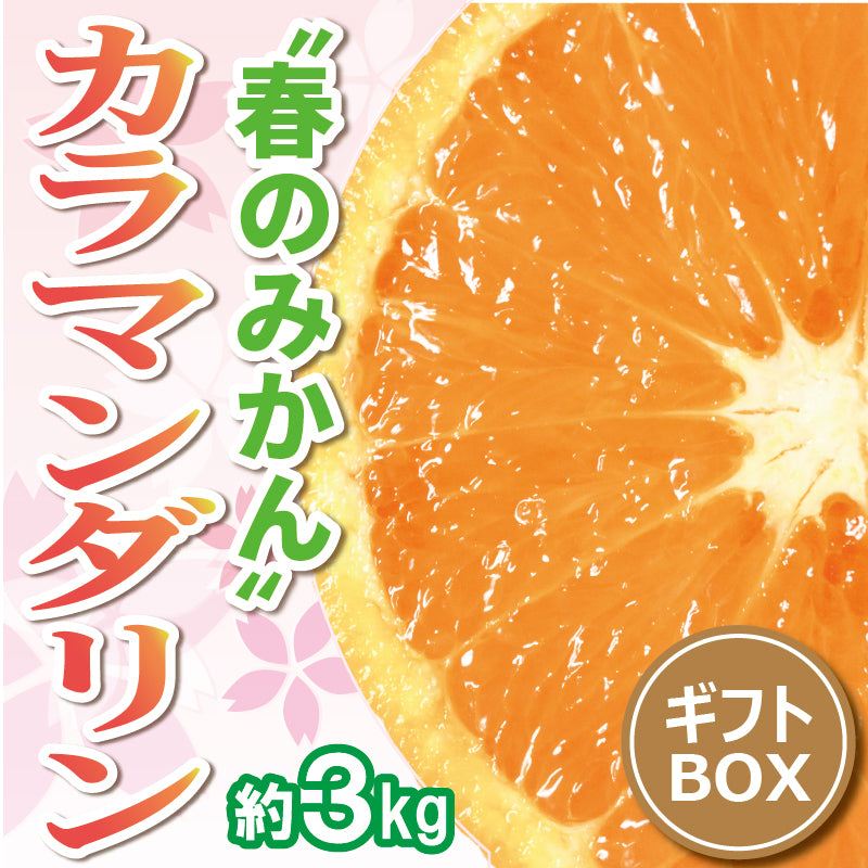 カラマンギフトBOX