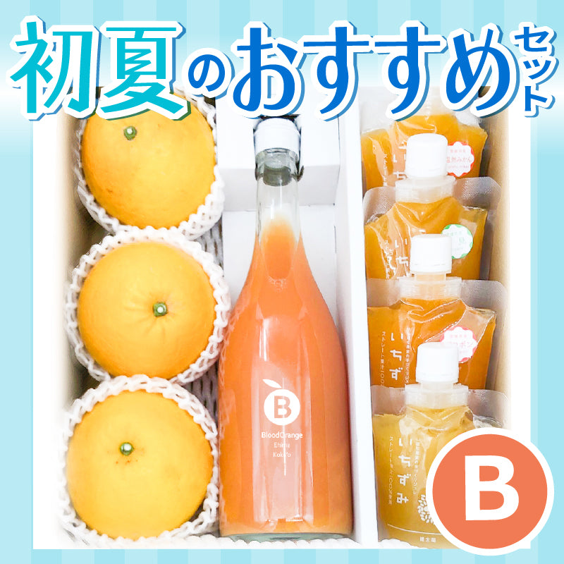 準備中【送料無料】初夏のおすすめセットB　-みしょうゴールド＆ブラッドオレンジジュース＆ジュレ 詰合せ-
