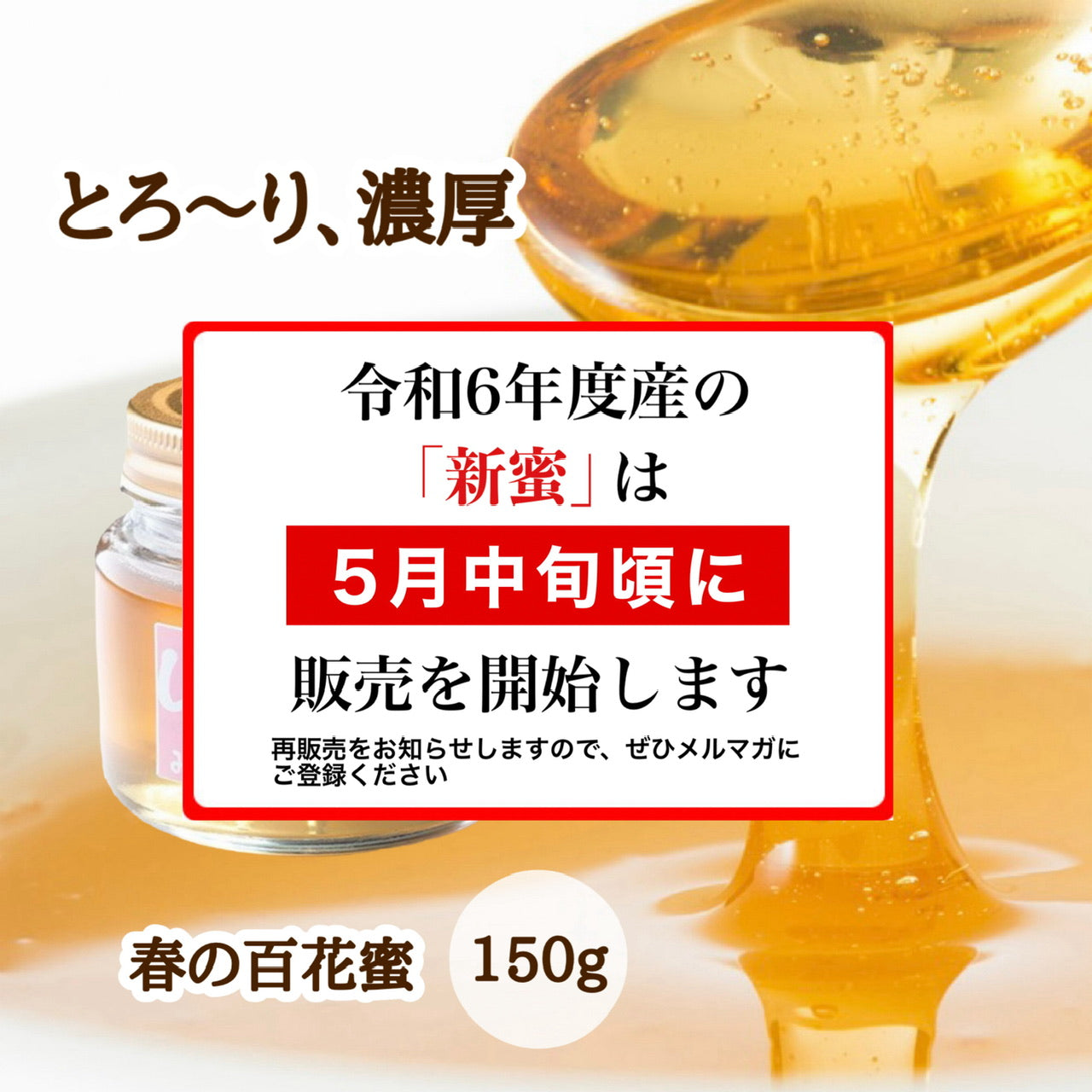 はちみつ　令和5年度産　新蜜 　とろ～り、濃厚　「春の百花蜜」 愛媛県産　松山中島産純粋ハチミツ　春の百花蜜　150ｇ