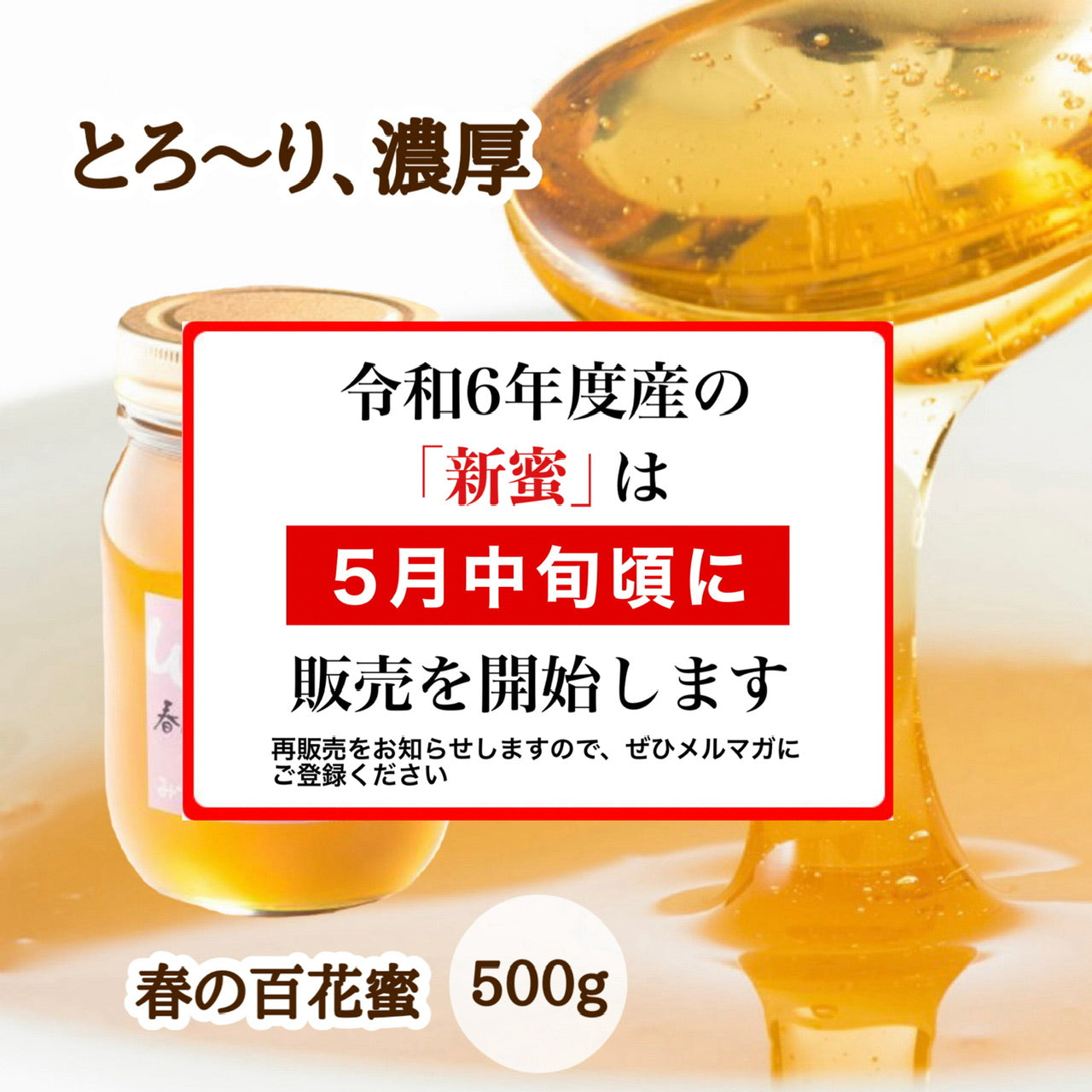 はちみつ　令和5年度産　新蜜　とろ～り、濃厚　「春の百花蜜」 愛媛県産　松山中島産純粋ハチミツ　春の百花蜜　500ｇ