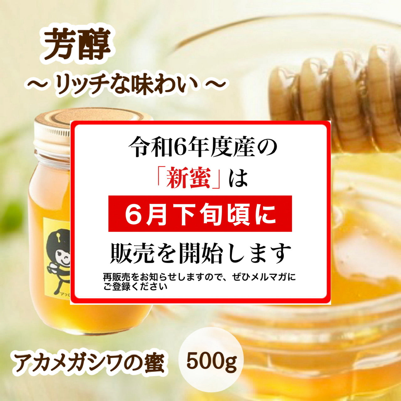 はちみつ　令和5年度産　新蜜　芳醇～リッチな味わい～　「アカメガシワの蜜」 愛媛県産　松山中島産純粋ハチミツ　アカメガシワの蜜　500ｇ