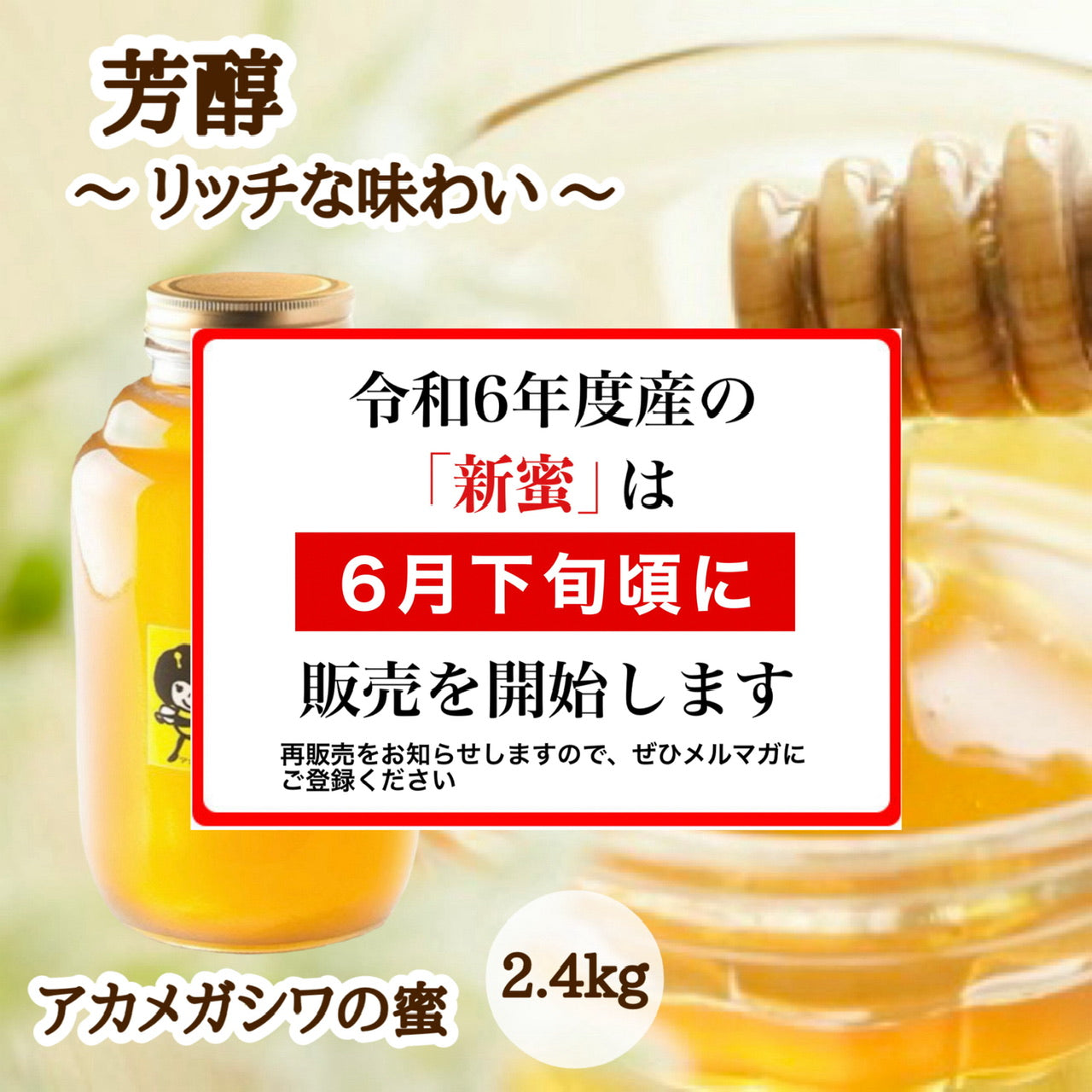 はちみつ　令和5年度産　新蜜　芳醇～リッチな味わい～　「アカメガシワの蜜」 愛媛県産　松山中島産純粋ハチミツ　アカメガシワの蜜　2.4kg