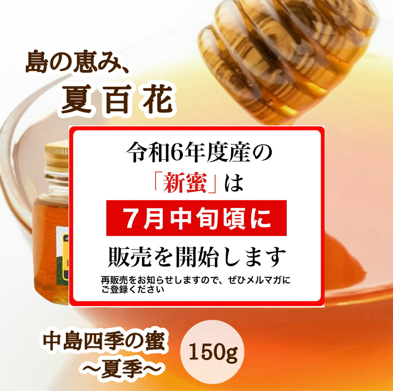 はちみつ　令和5年度産　新蜜　島の恵み、夏百花　「中島四季の蜜～夏季～」 愛媛県産　松山中島産純粋ハチミツ　中島四季の蜜～夏季～　150ｇ