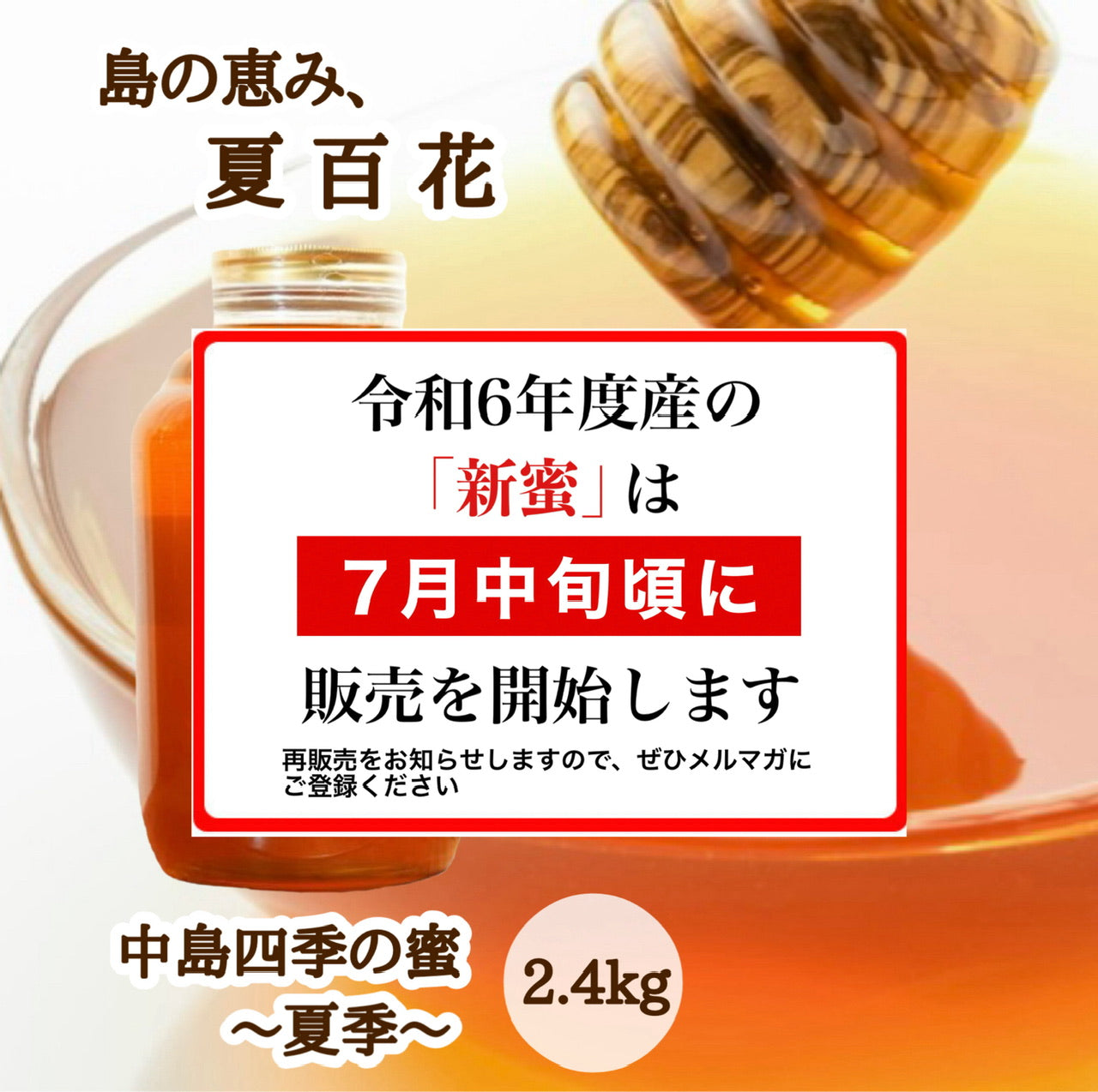 はちみつ　令和5年度産　新蜜　島の恵み、夏百花　「中島四季の蜜～夏季～」 愛媛県産　松山中島産純粋ハチミツ　中島四季の蜜～夏季～　2.4kg