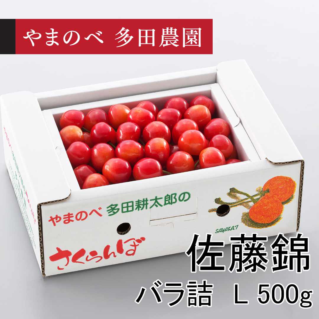 佐藤錦（Lサイズ バラ詰）500g×1パック　先行予約受付中