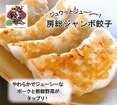 房総ジャンボ餃子20個セット【米・野菜・惣菜】