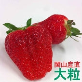 岡山県産　真っ赤な大粒いちご 箱入り(約900g）★凝縮されたジューシーな美味しさが最高です！ふるさと物産品　【フルーツ】贈答用　ギフト　御礼　御祝　誕生日