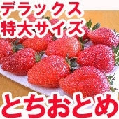 朝摘み「とちおとめデラックス」4L~6Lり２パック（送料無料）