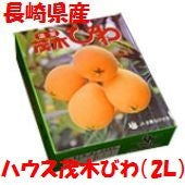 「長崎県産」ハウス茂木びわ★「赤秀」大粒2Lｻｲｽﾞ9個入り（500ｇ）化粧箱入りオレンジ色の果実は春から初夏の季節感を感じさせてくれます。