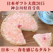 【一日の作成台数限定】【今年はおうちでお花見を！】【日本テレビ「スクール革命！」で紹介！】日本ギフト大賞神奈川県賞受賞の「湘南小田原の桜のレアチーズタルト」はできたて！サクサク！！