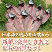 【日本海の恵みを山陰から】【送料無料】新鮮・豪華！真あじ・ひもの　８尾セット