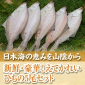 【日本海の恵みを山陰から】【送料無料】新鮮・豪華！えてかれい・ひもの　５尾セット