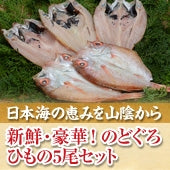 『白身のトロ』高級魚ノドグロ！【日本海の恵みを山陰から】【送料無料】新鮮・豪華！のどぐろ・ひもの　５尾セット