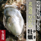 厚岸産 殻付き牡蠣（Ｌサイズ）　20個入　カキナイフ付き（送料無料）