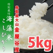 【特別栽培による海藻米コシヒカリ5kg】５年産 【送料込み】