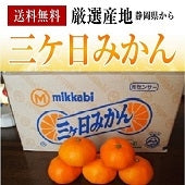 静岡県産三ケ日みかん　4kg箱　【送料無料】　