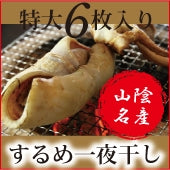 【特大】鳥取産スルメ一夜干し6枚セット　無添加・天日干し