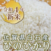 【令和5年 新米】佐賀県白石産『ひのひかり』 【5ｋｇ、10kg、25ｋｇ】