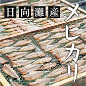 【極上のメヒカリにちりめん、うるめイワシを召し上がれ！】TOTOROセット≪（冷凍便※季節によって変更があり≫