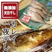 鳥取産　カレイ一夜干し　真空パック4枚セット　【無添加・天日干し】