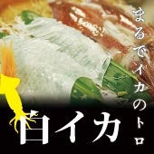 天然白いか　５匹入り　合計1kg前後【活生】【鳥取産】【天然】【日本海産】