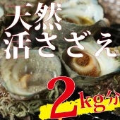 【天然の活けサザエ】漁師が素潜りで獲った本物のさざえ　約2kg（約10~15個）