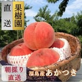 【送料込み価格】しのぶの里のおいしい桃「あかつき」【お中元2023】【フルーツ】