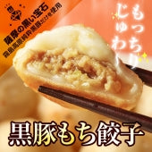 おもちのぎょうざ　黒豚もち餃子 20g×48個　もっちりじゅわ～の新食感　霧島高原純粋黒豚だけを使用 冷凍 業務用 人気  中華 惣菜 お試し 鍋にも お取り寄せグルメ 食品 グルメ 肉 惣菜 点心 送料無料