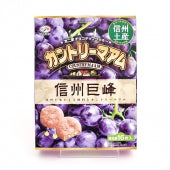 信州限定不二家チョコチップクッキーカントリーマアム信州巨峰味　信州長野限定のお土産