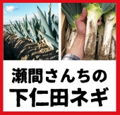 大好評！ 群馬県下仁田産【瀬間さんちの下仁田ネギ】(約15本）冬の味覚殿様ネギを数量限定で