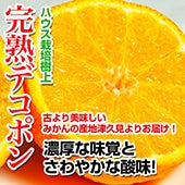 大分県つくみ産 樹上完熟ハウスデコポン５Ｋｇ入り