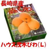 「長崎県産」ハウス茂木びわ★「赤秀」Lｻｲｽﾞ12個入り（500ｇ）化粧箱入りオレンジ色の果実は春から初夏の季節感を感じさせてくれます。
