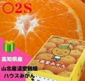 【お中元2024】【フルーツ】 みかん　高知県「山北産温室栽培ハウスみかん」〇赤SＳサイズ（2.5ｋｇ）　★送料無料！甘さ抜群！ 発送は、５月下旬から。