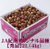 パープルクィーン（小梅）ＪＡ紀南オリジナル品種 和歌山県産 秀品【 2Lサイズ 】約4kg発送は5月下旬から 。