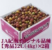 パープルクィーン（小梅）ＪＡ紀南オリジナル品種 和歌山県産 秀品【2 Lサイズ 】約4kg×（２箱）発送は5月下旬から 。