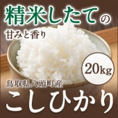 鳥取県産こしひかり白米20kg