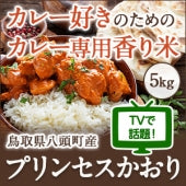 カレー専用米・プリンセスかおり 5kg