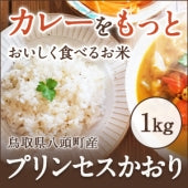 カレー専用米・プリンセスかおり 1kg【カレー・炒飯・パエリアがプロも認める味になる香り米】