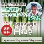 【送料込み】鳥取・田中農場の白ねぎ2kg 甘くてジューシー 歯触り柔らかな特別栽培白ねぎ