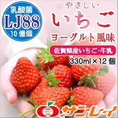 ※期間限定販売※【送料無料】やさしいいちご【乳酸菌プラス】