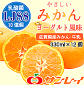 ※期間限定販売※【送料無料】やさしいみかん【乳酸菌プラス】